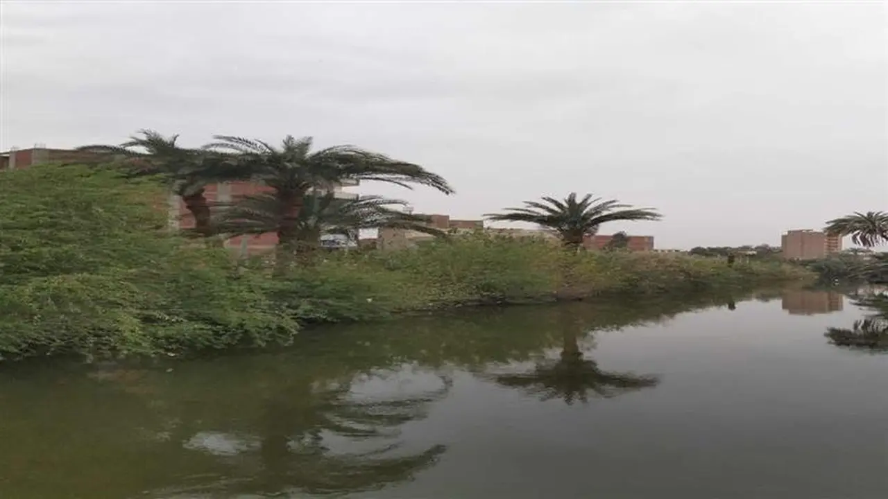 محافظة أسيوط ترفع حالة الطوارئ بعد تحذيرات الأرصاد من عواصف وأمطار رعدية